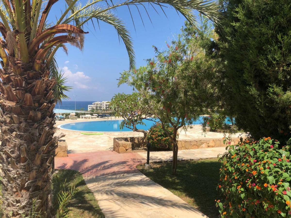 Kings Palace - Fabulous Pool-Side 2 Bed Apartment Paphos ภายนอก รูปภาพ